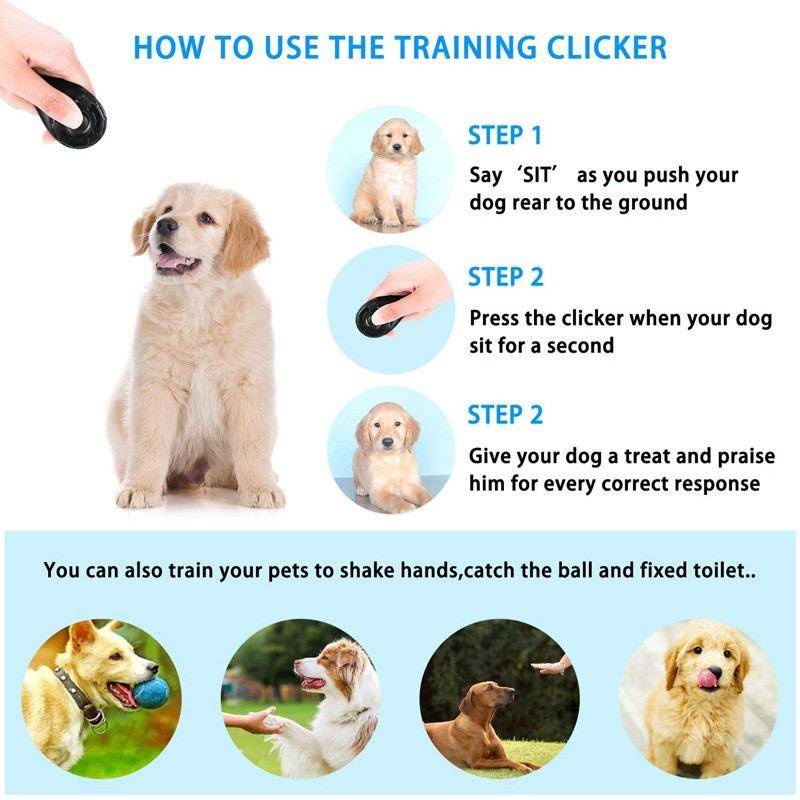 How To Use A Dog Clicker Correctly