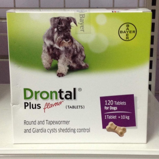 drontal plus for dogs flavor
