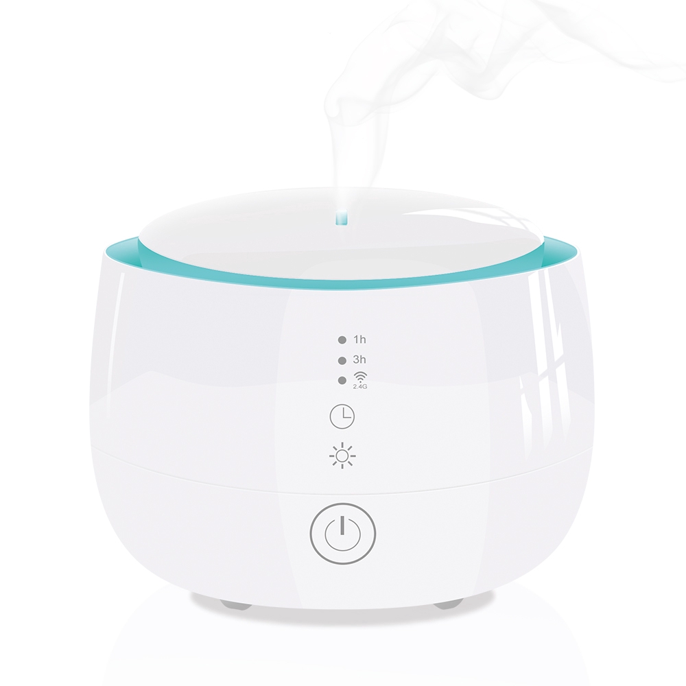 smart humidifier google home