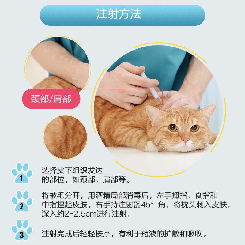 Dog vaccine Imported American kittens wholesale Miaosanduo vaccine cat rabies to prevent plague nasa #6