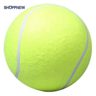 extra large dog ball