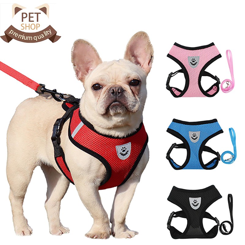 Dog Harness Puppy Fashion Mesh Vest + Leash Lead Set | Shopee Philippines