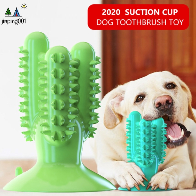 tooth brushing dog toy