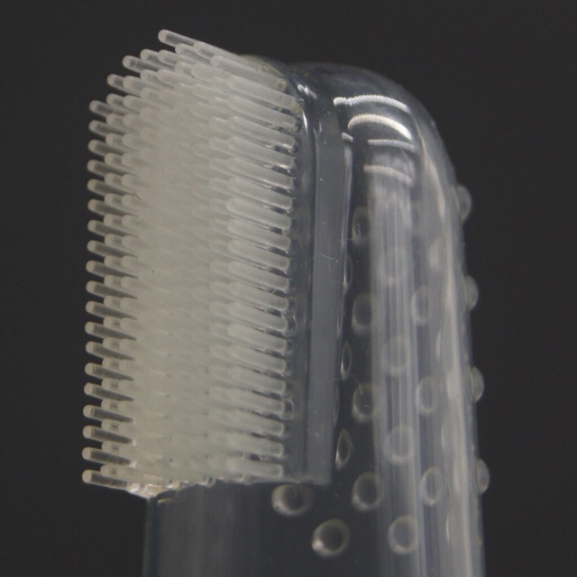 safety 1st fingertip toothbrush and case