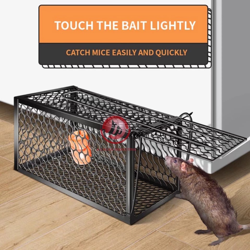 Small Rat Cage Mice Rodent Animal Control Catch Bait Hamster Mouse Trap |  Shopee Philippines