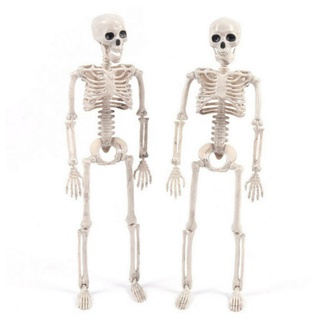 Posable Halloween Skeleton 2022