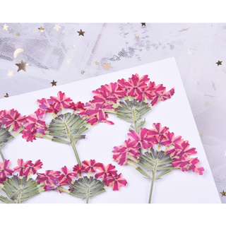 30pcs with branches beautiful cherry blossom embossed diy dried flower phone case sticker diy #8