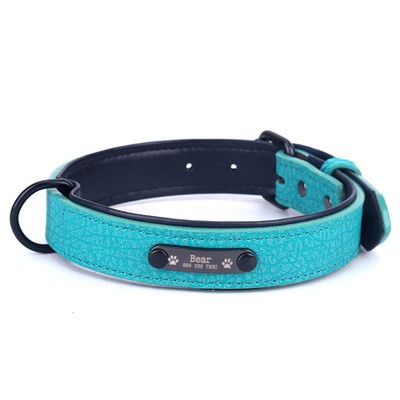 teal dog collar