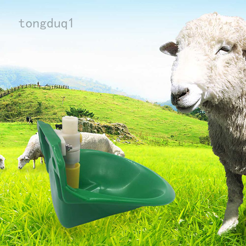Automatic Water  Water Drinker Bowl For Goat Sheep Pig Piglet Livestock Plastic 