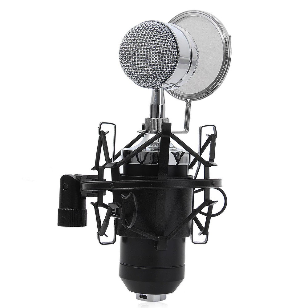BM900 Professional Recording Condenser Microphone Shopee Philippines