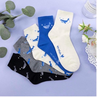 Korean Socks - Whale Socks - Iconic Socks