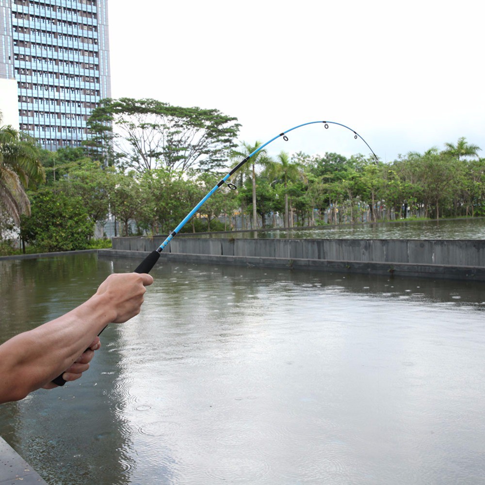 sea fishing rods for sale