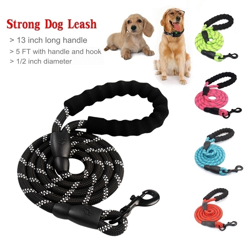 long strong dog leash