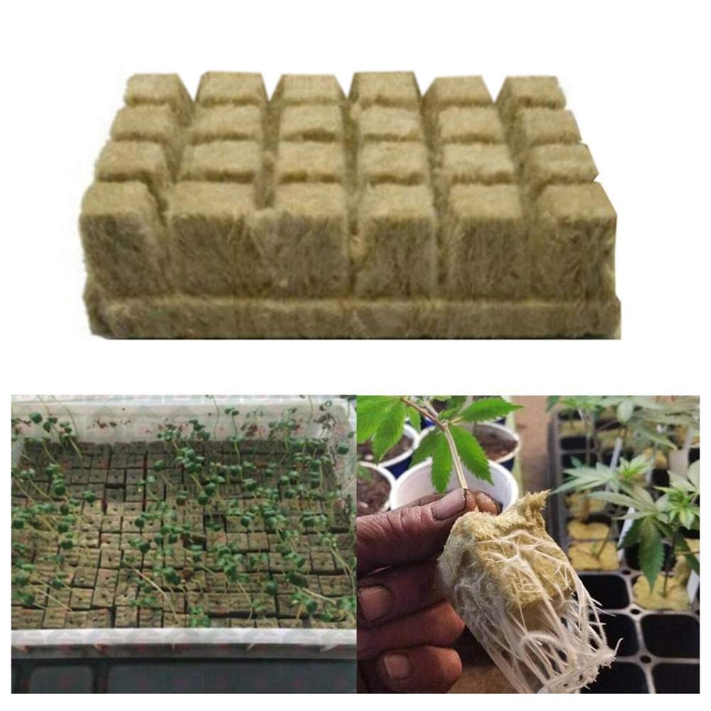 cinglen.ph*Rockwool Starter Plugs Rockwool Stonewool