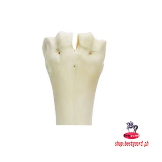 Bestguard M2311 Dog Chews Toys Teether Bone Molar Dogs Bones