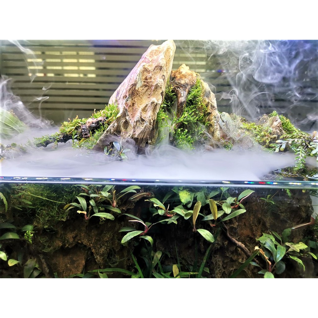 mist maker terrarium