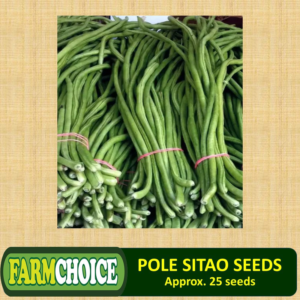 Introduction of pole sitao image