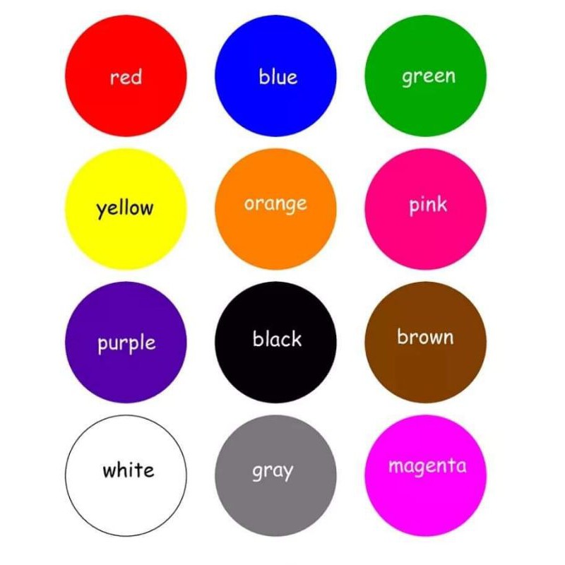 Laminated Educational Chart Colors Identification | Shopee Philippines