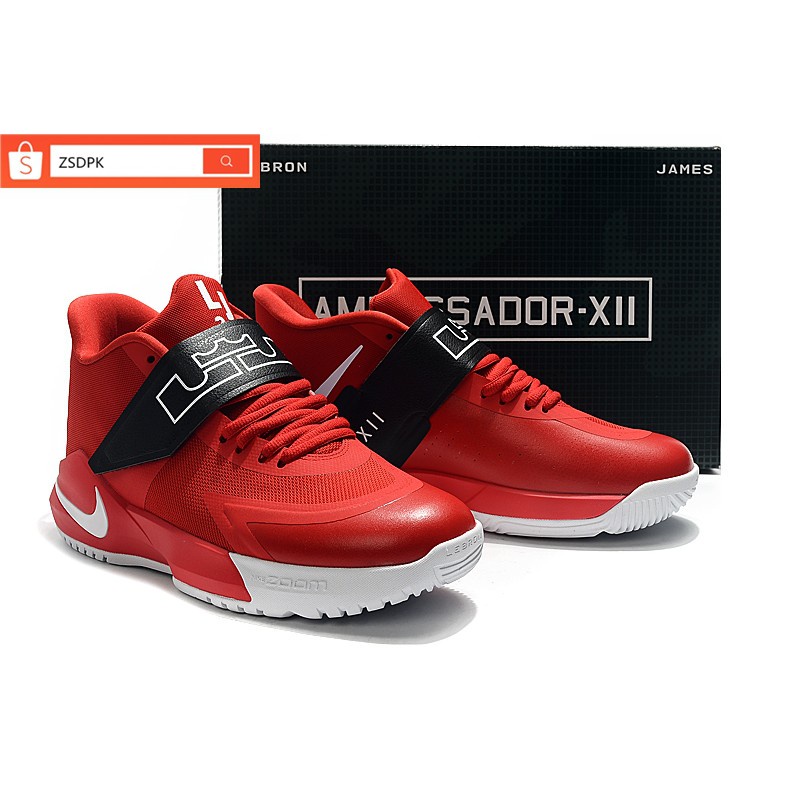 lebron james ambassador 12