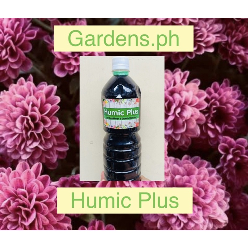 Humic Plus Pampabulaklak,PampaUgat Soil Fertilizer (350ml) Shopee