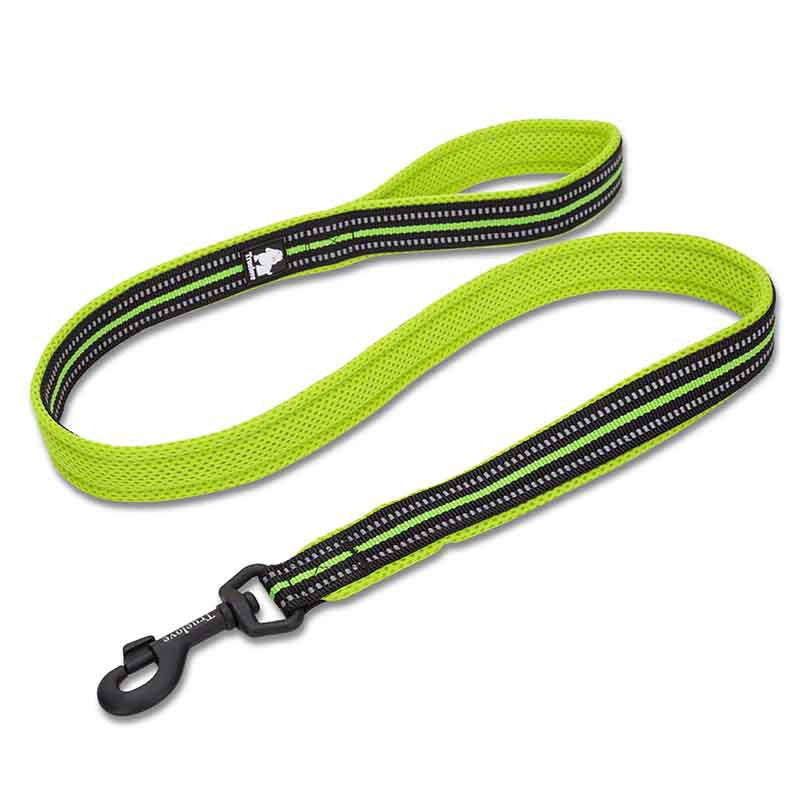 nylon dog leash