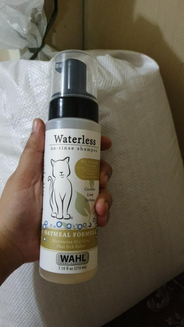 Best Cat Shampoo For Dandruff In 2023 Mypetsabout