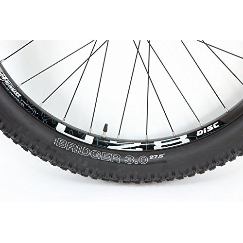 weinmann 29er rims