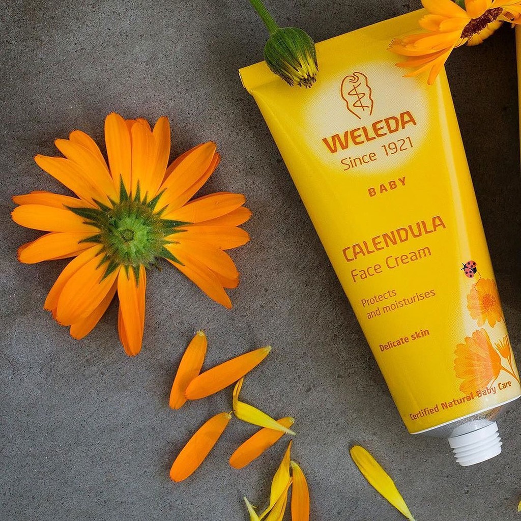 weleda calendula face cream baby