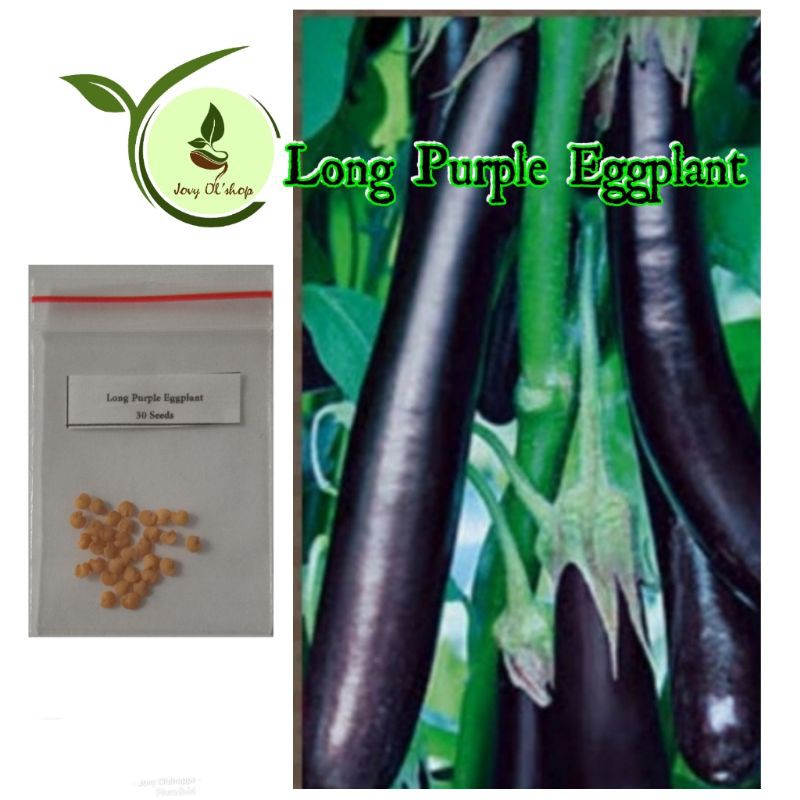 Long Eggplant Seeds Shopee Philippines 