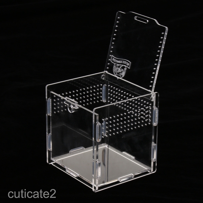 acrylic reptile enclosure