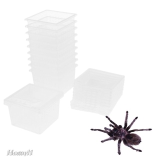FAST LOCAL SHIPPING terrestrial breeding box small plastic enclosure spider tarantula scorpion #3