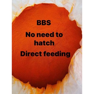 ⚡️[DNC] 90g-25g Premium BBS  Decapsulated Baby Brine Shrimp (Direct Feeding-No Need to Hatch)