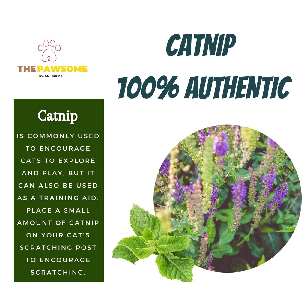 Catnip for Cats 100 Authentic Dried Catnip repacked to 5g Shopee