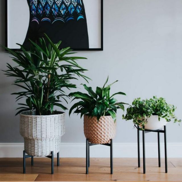  Minimalist  Metal Plant  stand  for Outdoor Indoor Planter 