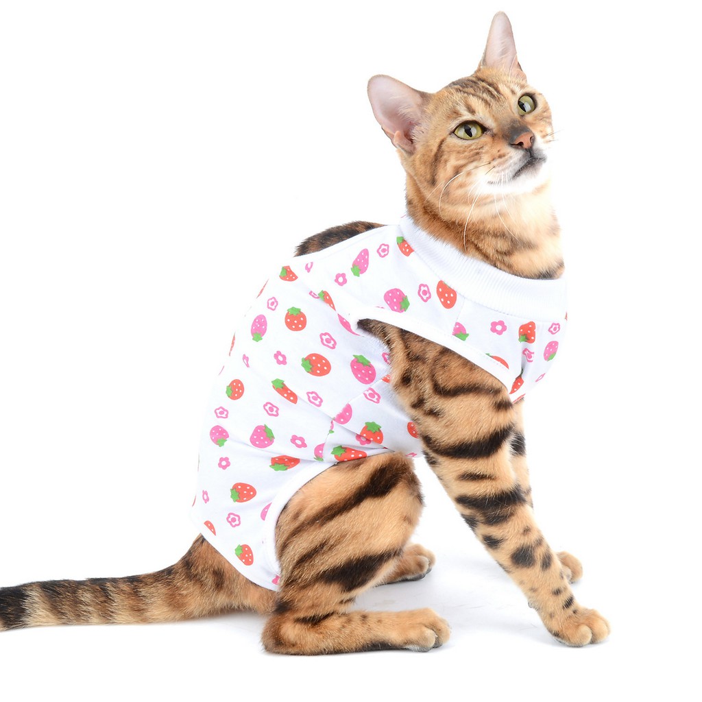 Breathable E-Collar Alternative for Dog Pet Geyoga 5 Pieces Cat Recovery Suit Anti Licking Wounds Cat Recovery Clothes for Abdominal Wounds or Skin Protection 