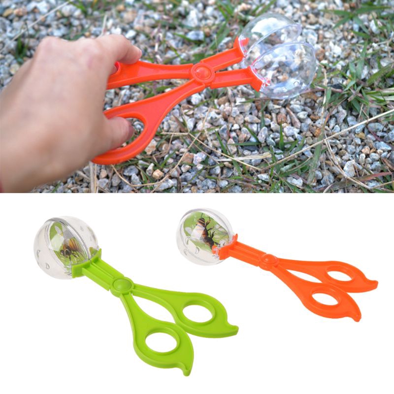 insect catcher toy