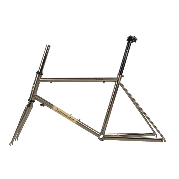 mini velo frame size