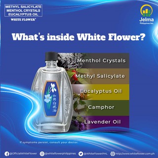 White Flower Oil No. 5  (6 x 1.5 mL) #5