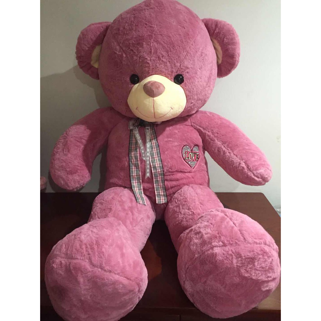 korean teddy bear brand