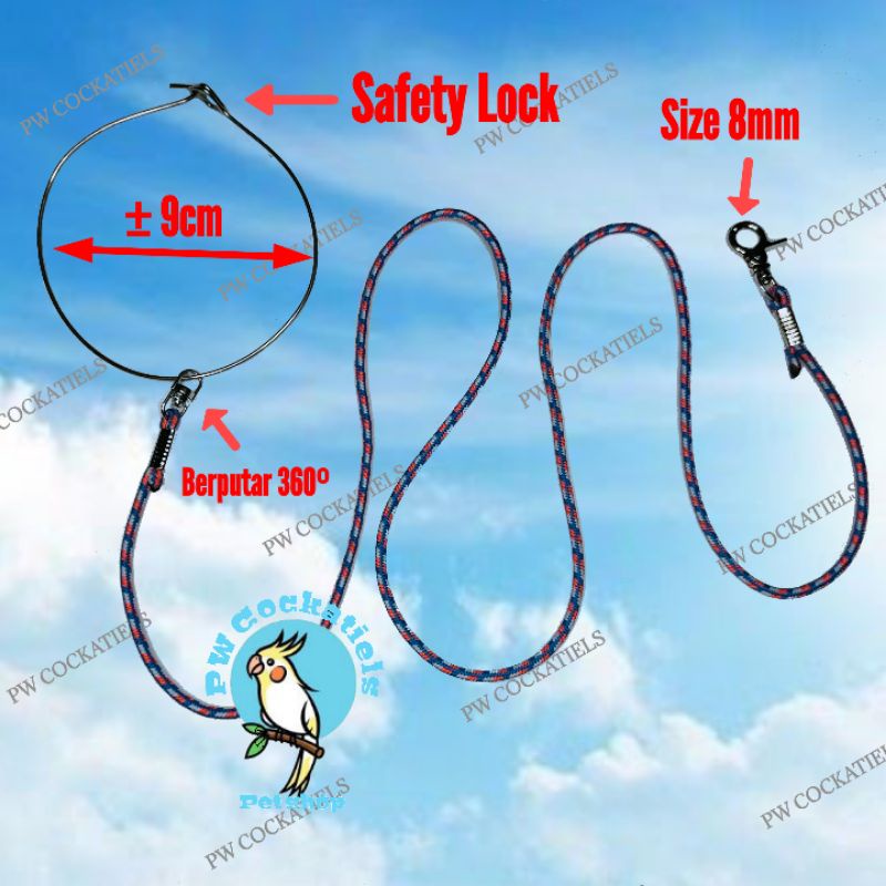 Anti Escape Flying Rope Pigeons Paltem Training Leash Birds Leash Rope