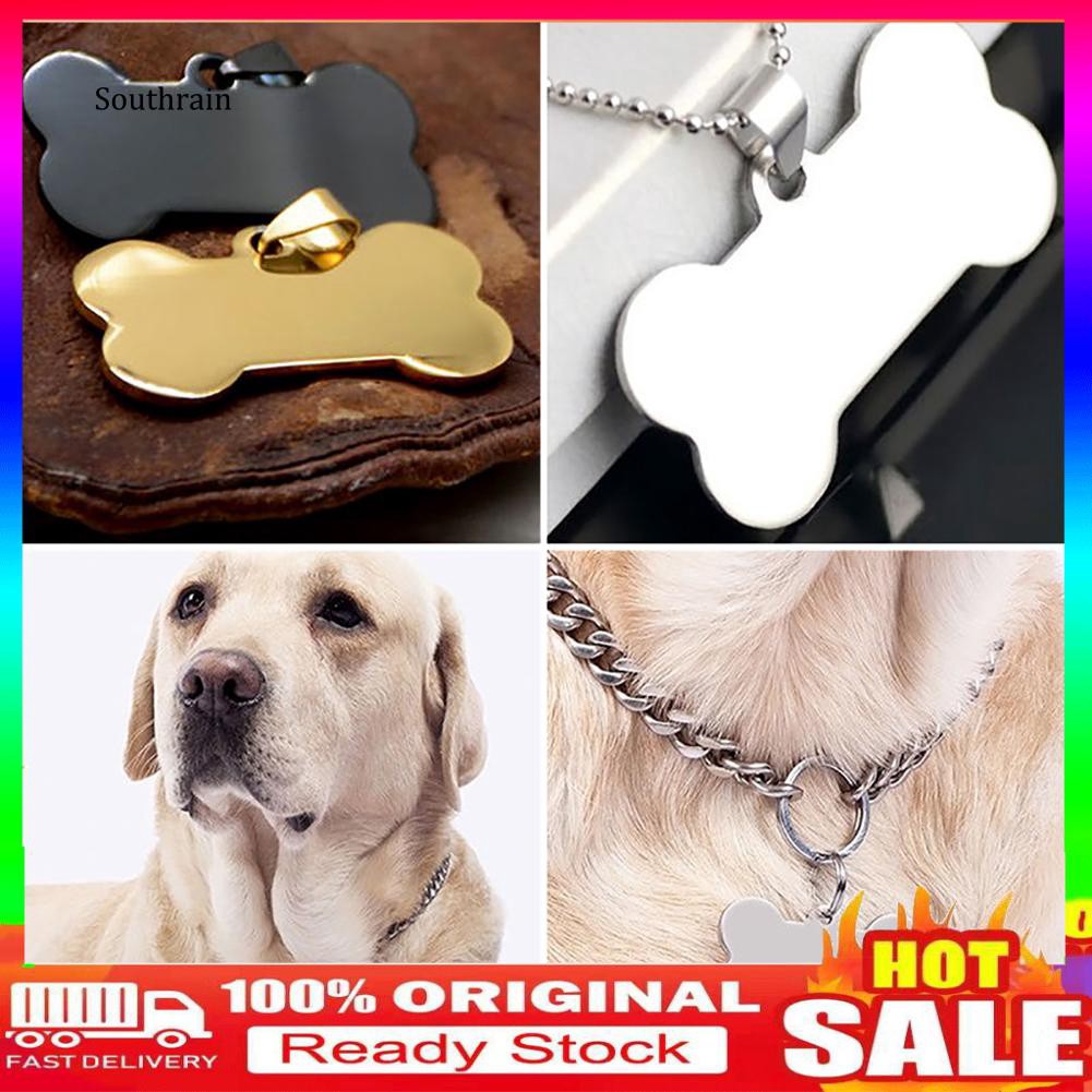 husky siberiano white