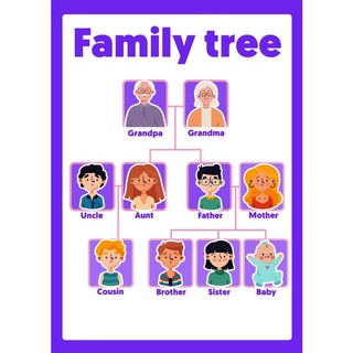 FAMILY TREE FLASHCARDS / POSTER / Laminated Educational Chart for kids ...