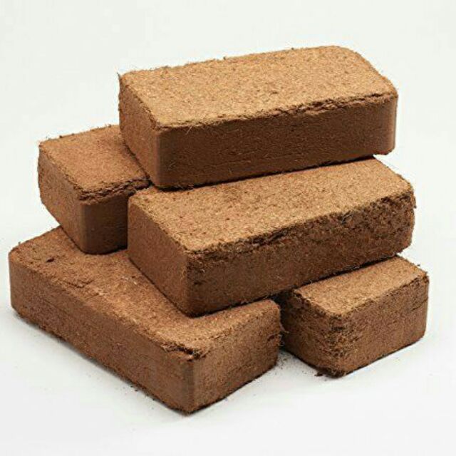 Organic Coco Peat Bricks/Plain & Charcoal/Tile Shopee Philippines