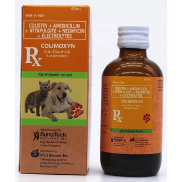 Can You Give Dogs Anti Diarrhea Medicine