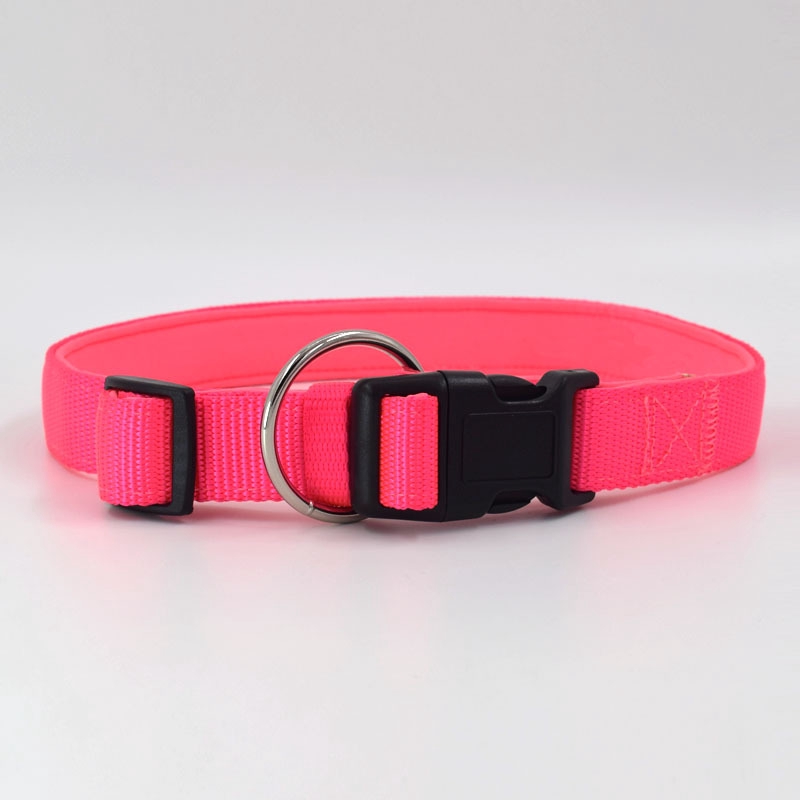 o ring dog collar