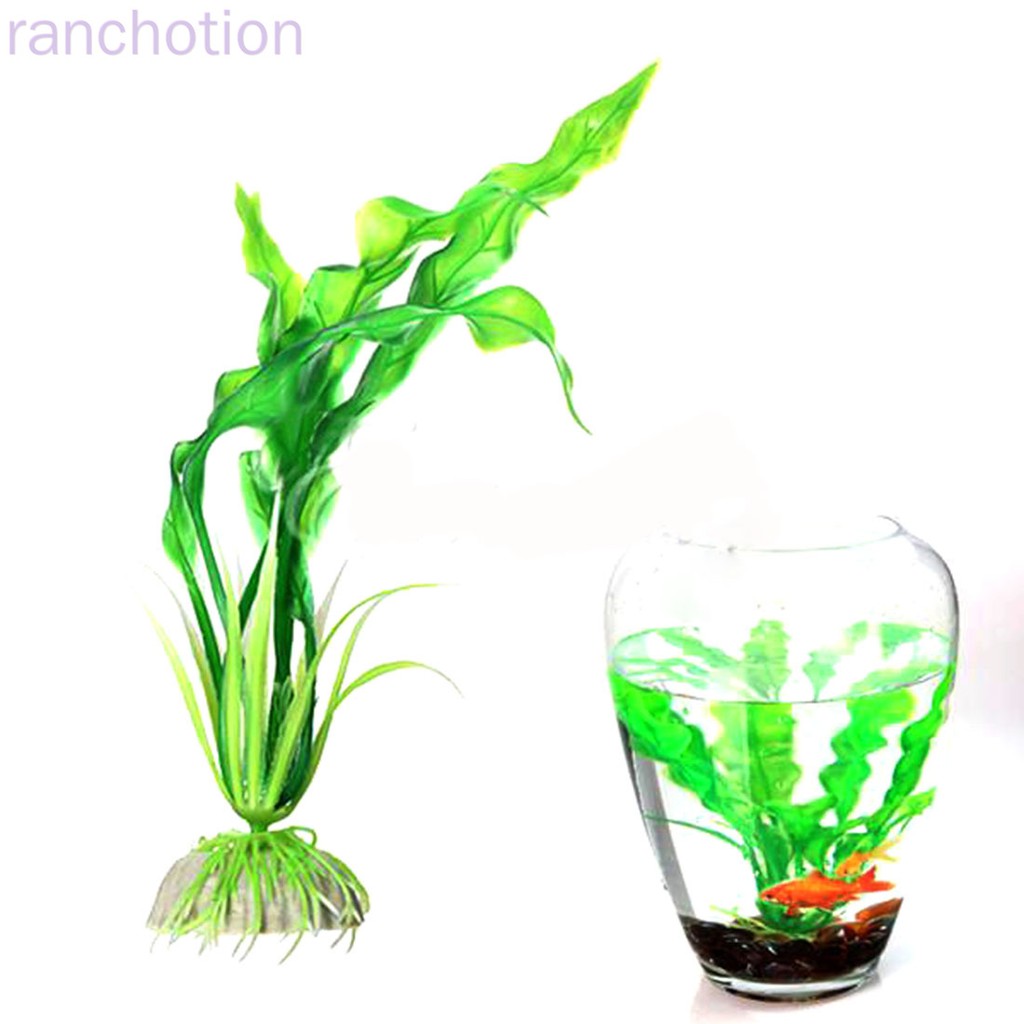 fish tank decorations plants