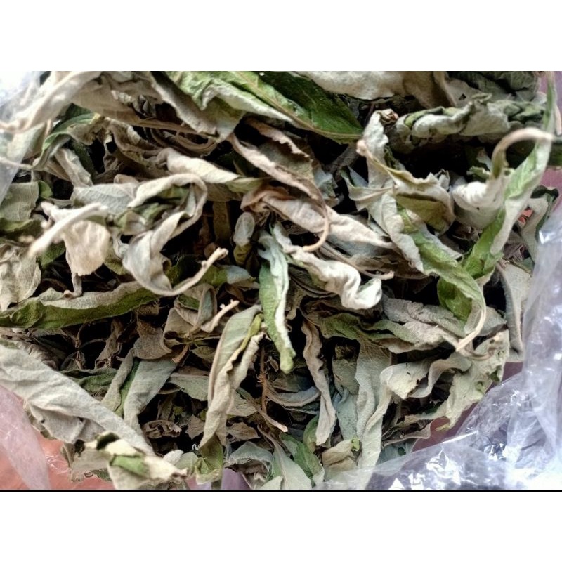 sambong-leaves-dried-1-2kilo-per-pack-shopee-philippines