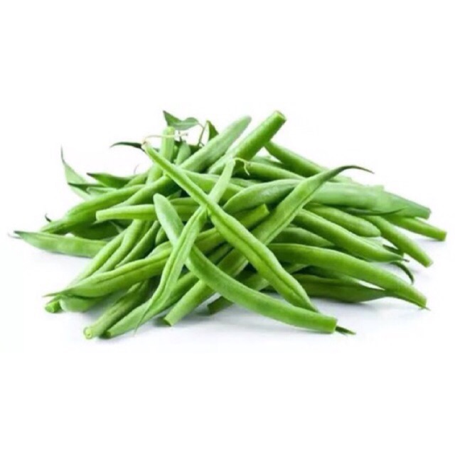 Baguio bean seeds (bush beans) Shopee Philippines