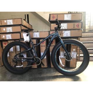 xds mammoth fat bike