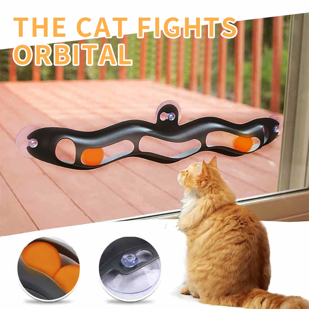 ping pong ball cat toy